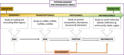 Editorial: Omics Solutions for <mark class="highlighted">Endocrine Disorders</mark>